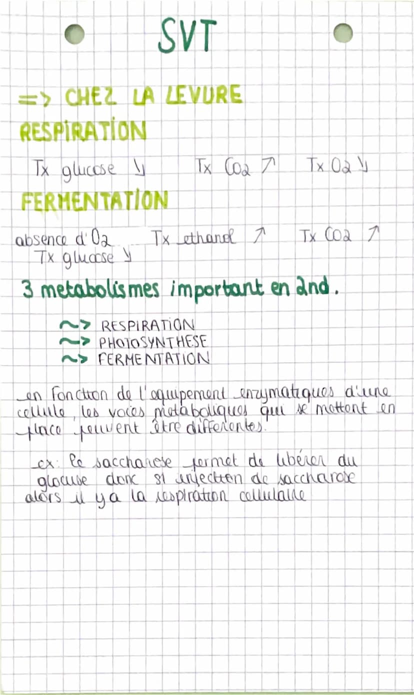 SVT
Les métabolismes
~> ensemble des reactions chimiques que
out heu au sein d'une cellule.
PHOTOSYNTHESE
+ produit de l'energie sous forme 