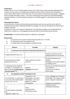 Know Lecture linéaire - Candide - Esclave de Surinam (chapitre 19) thumbnail