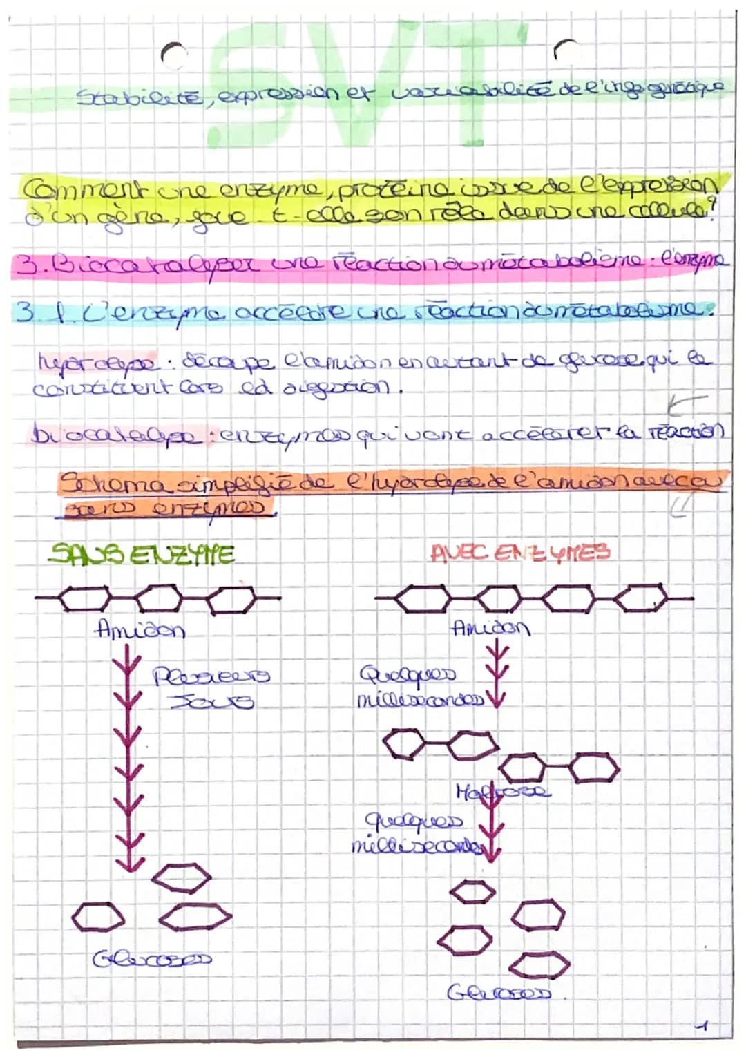 Stabilité, expression et variabilité de l'inge genocque
Comment one enzyme, proteine irve de l'expression
d'un gène, joue t-elle son rela do