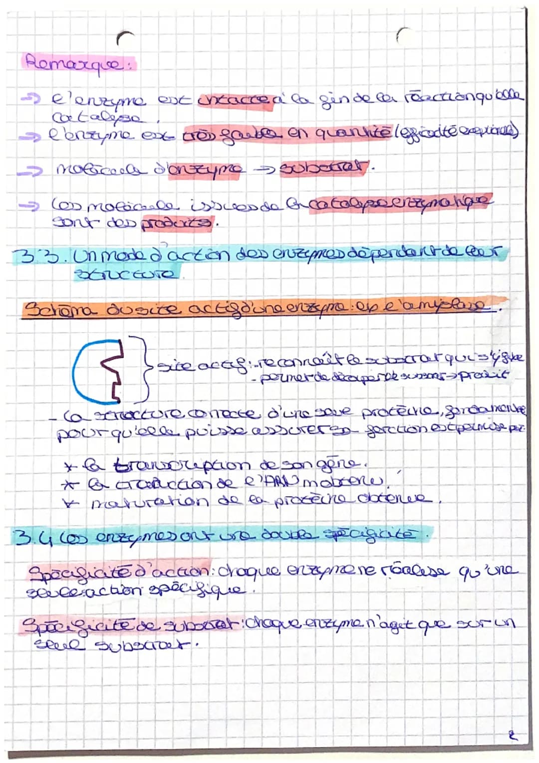 Stabilité, expression et variabilité de l'inge genocque
Comment one enzyme, proteine irve de l'expression
d'un gène, joue t-elle son rela do