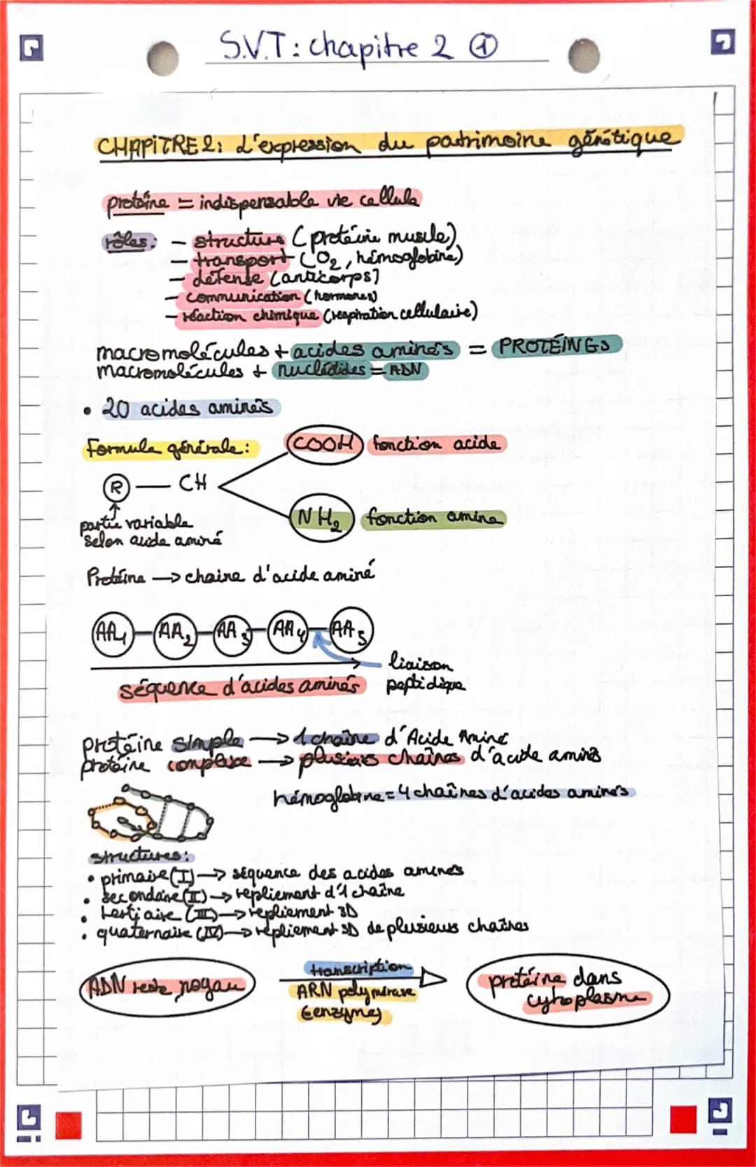 Svt - l’expression du patrimoine génétique (1re)