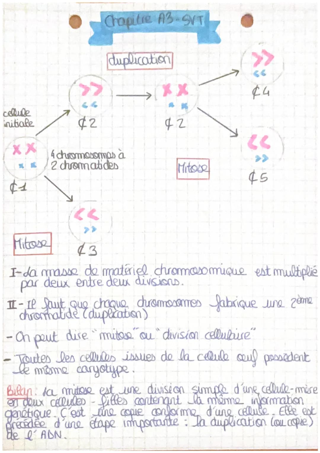cellule
initiale
xx
$1
Chapitre A3-SVT
duplication
42
4 chromosomas a
2 chromatides
XX
**
42
Mitose
66
£4
(6
45
Mitose
43
I-da masse de maté