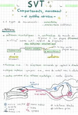 Know comportement, mouvement et système nerveux SPÉ TERM thumbnail