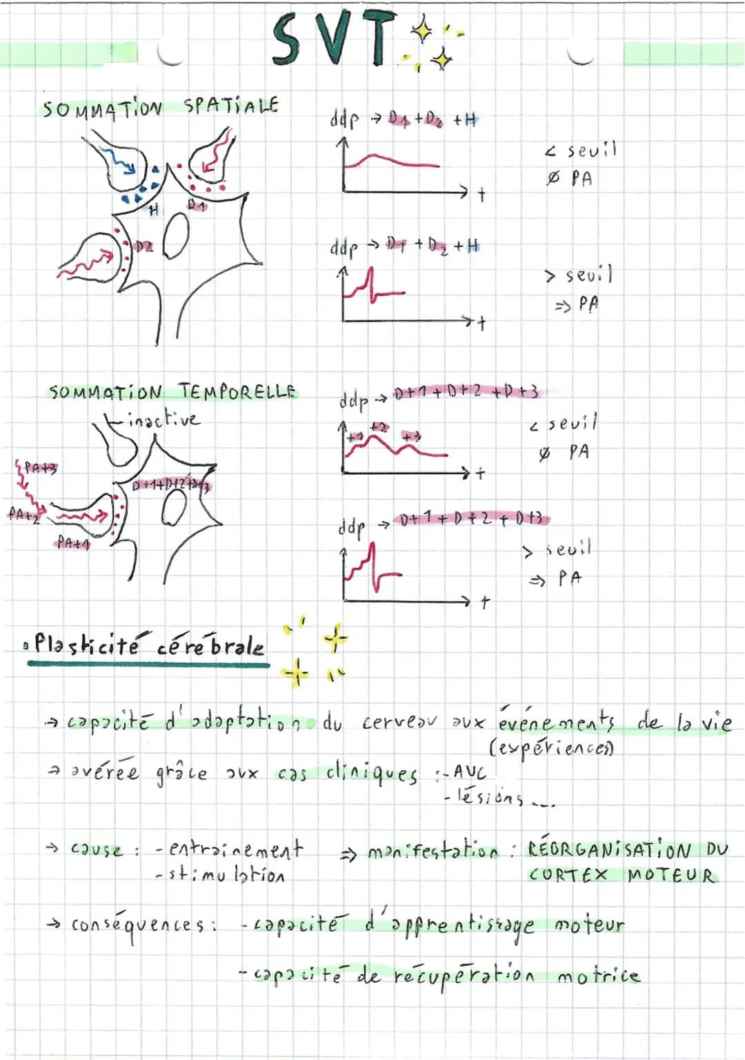 4
4
Comportements,
2 types de mouvements:
Fuseaux n.m
stimulus
(étirement)
→ Fuseaux
SVT.
~ et système nerveux ~
axone
fuseau cim
• Réflexe
