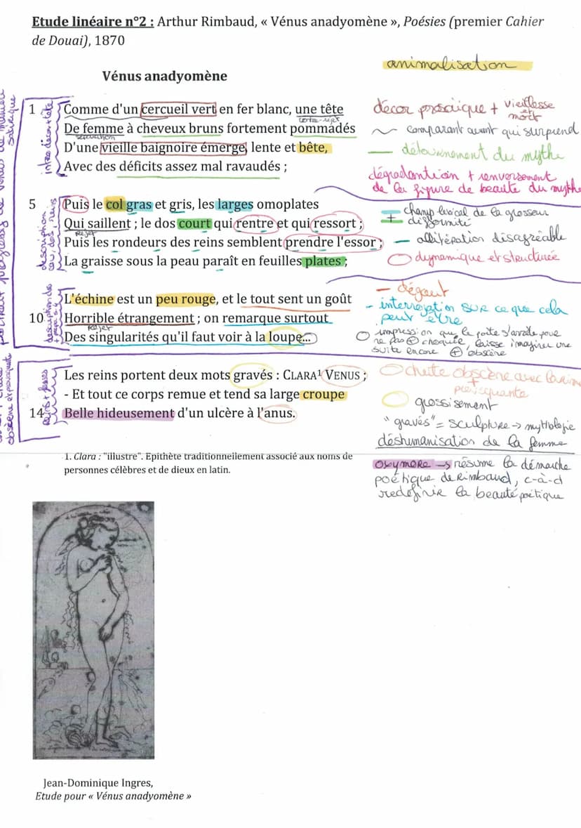 Étude linéaire n°2 : « Vénus Anadyomène »>, Arthur Rimbaud, Poésies
(1870)
1) La mythologie a inspirée de nombreux artistes au cours des siè