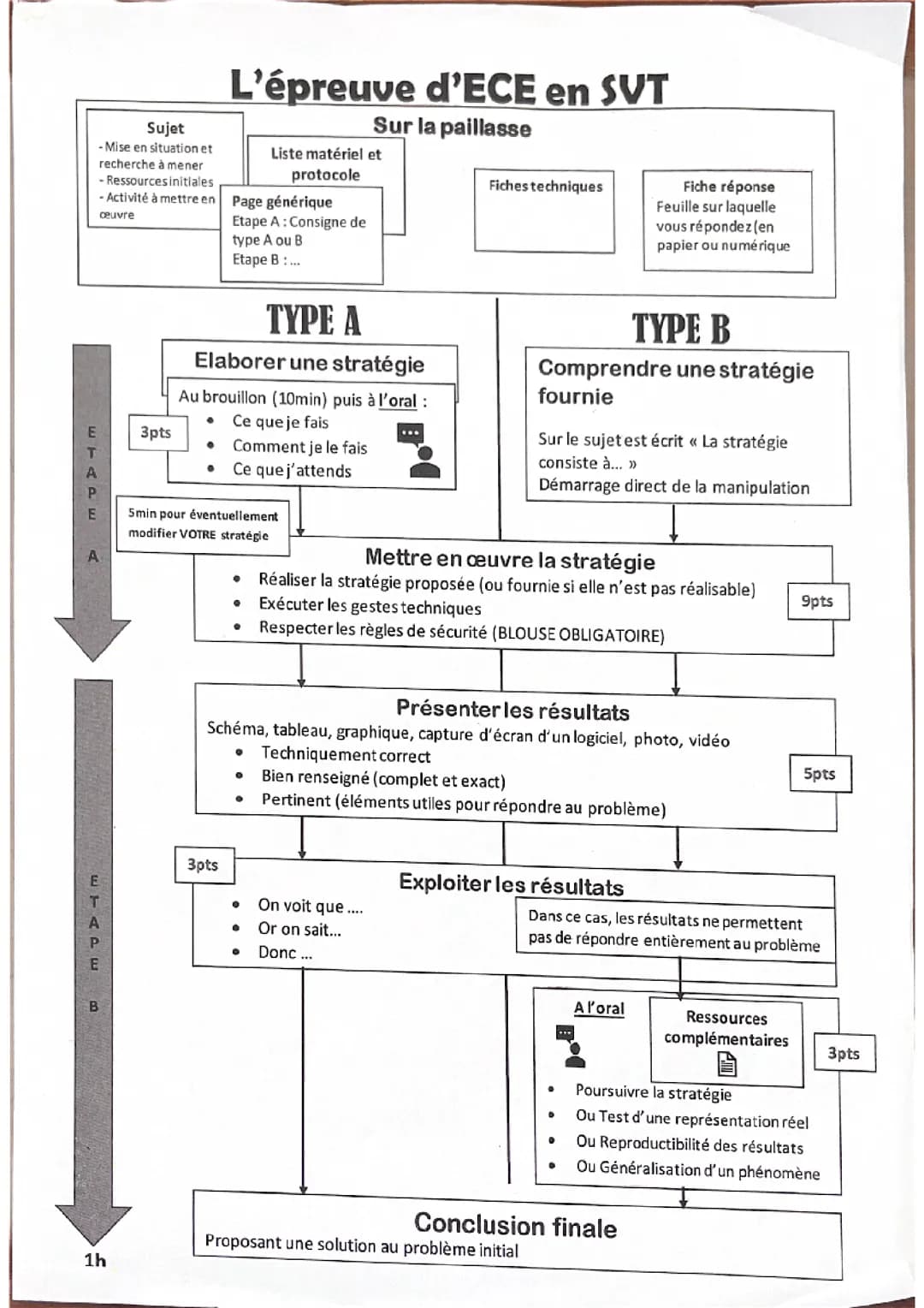 Fiche ECE