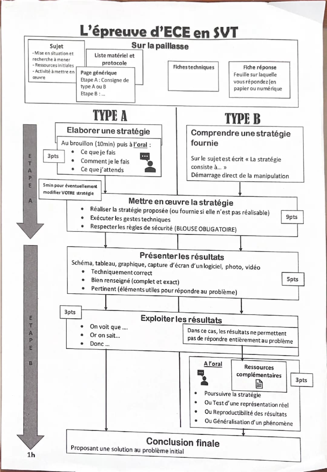L'épreuve d'ECE en SVT
Sur la paillasse
Sujet
-Mise en situation et
recherche à mener
-Ressources initiales
-Activité à mettre en
œuvre
3pts