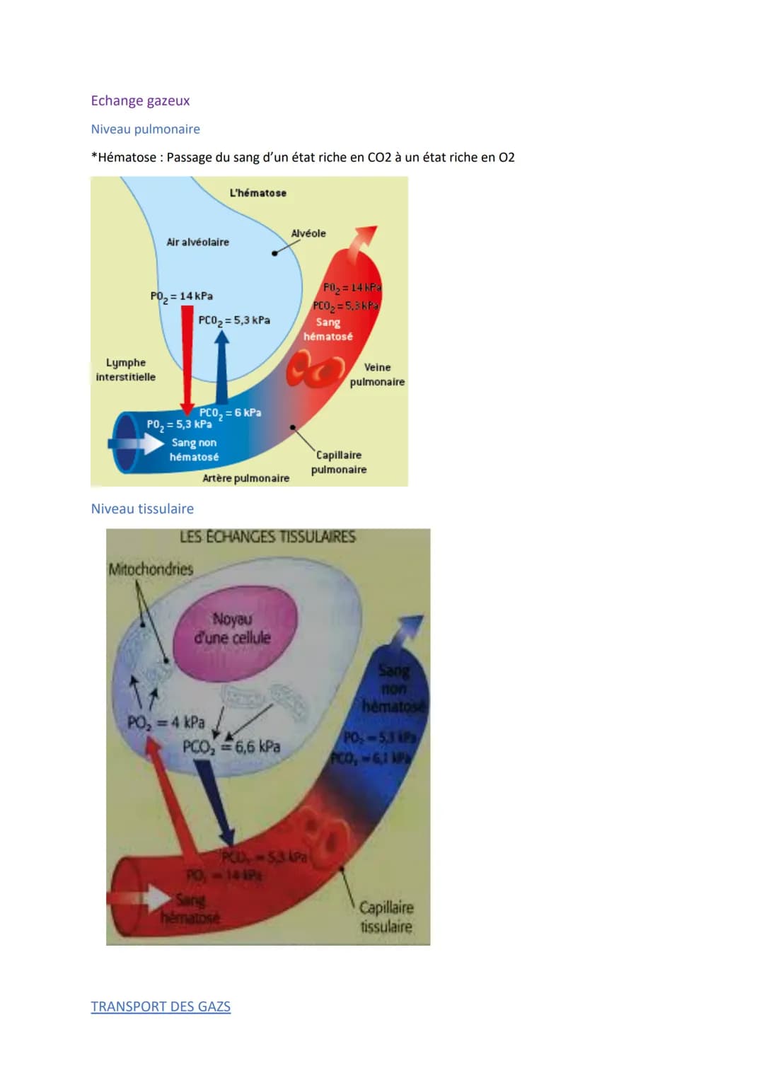 
<p>Les définitions importantes en biologie humaine comprennent l'absorption digestive, qui est le passage des nutriments de la lumière de l