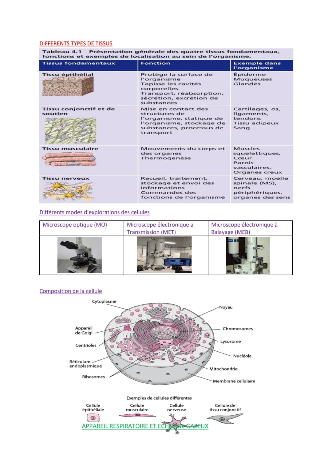 
<p>Les définitions importantes en biologie humaine comprennent l'absorption digestive, qui est le passage des nutriments de la lumière de l