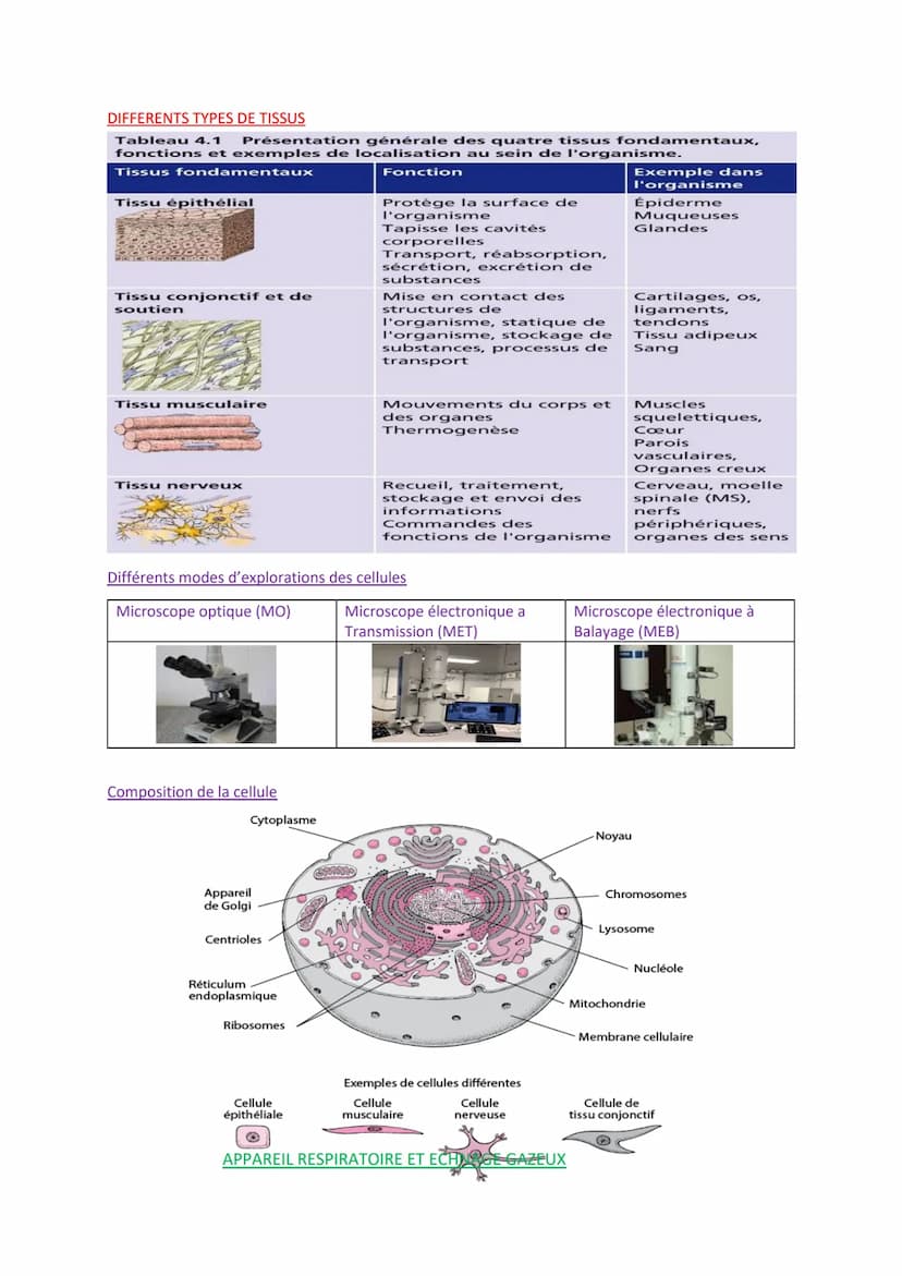 
<p>Les définitions importantes en biologie humaine comprennent l'absorption digestive, qui est le passage des nutriments de la lumière de l