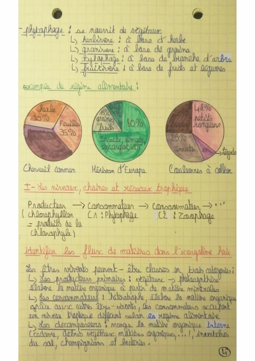 Chapitre II La circulation de la matière et de l'énergie
au sein d'un agrasystème
excemple!
Debris vegătruse → vers de terre -> Meninge -> R