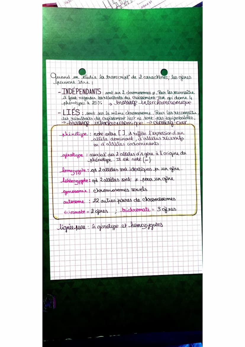 Croisement
PA
lignée X
pure
jaune et lisse
F4
pour F1:
O
Be lignée
pure
vert et ride
PA
3 ; 4
J
2,44
V
R
100% [J;L]
B
V, R
100%
F₂
Es indiqu