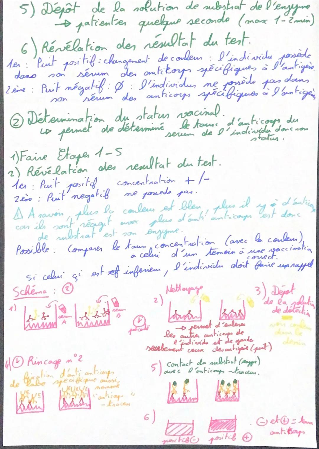 SUT TP 1er: Le Test Elisa

Test Elija: Test immunologique afin de
rechercher la présence de molécules dam
des liquides biologique.

Exemple: