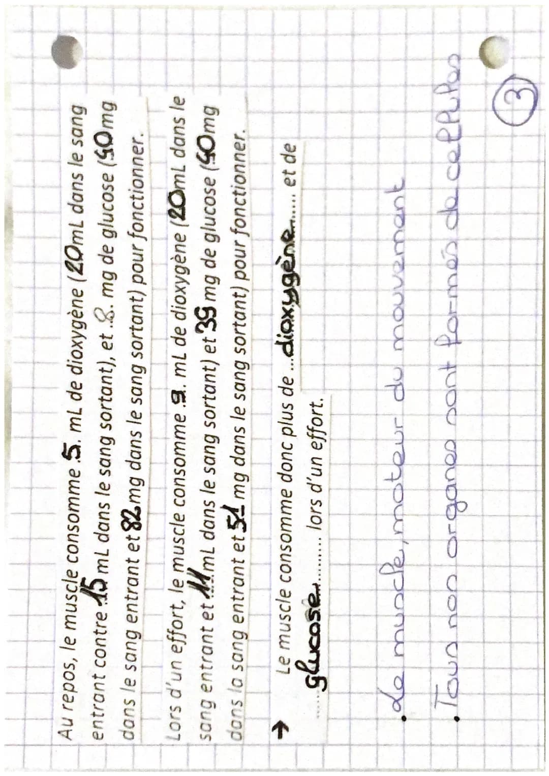 Tystèmes
-cardio-respiratoire
nerveux et
santé REPOS
d'oxygène
nutriment
Chapitre 1:
mundes
·capillaire
Sanguin
EFFORT
dioxygena
nutriment
C