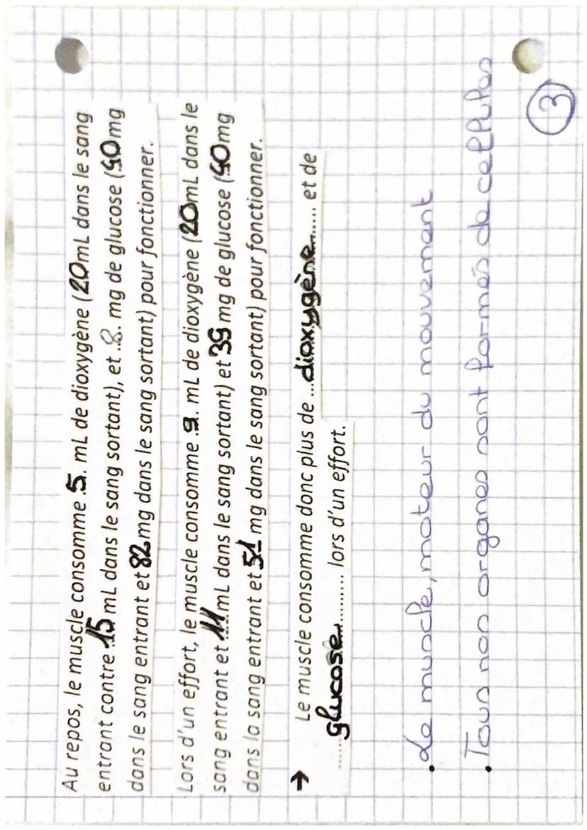 Tystèmes
-cardio-respiratoire
nerveux et
santé REPOS
d'oxygène
nutriment
Chapitre 1:
mundes
·capillaire
Sanguin
EFFORT
dioxygena
nutriment
C