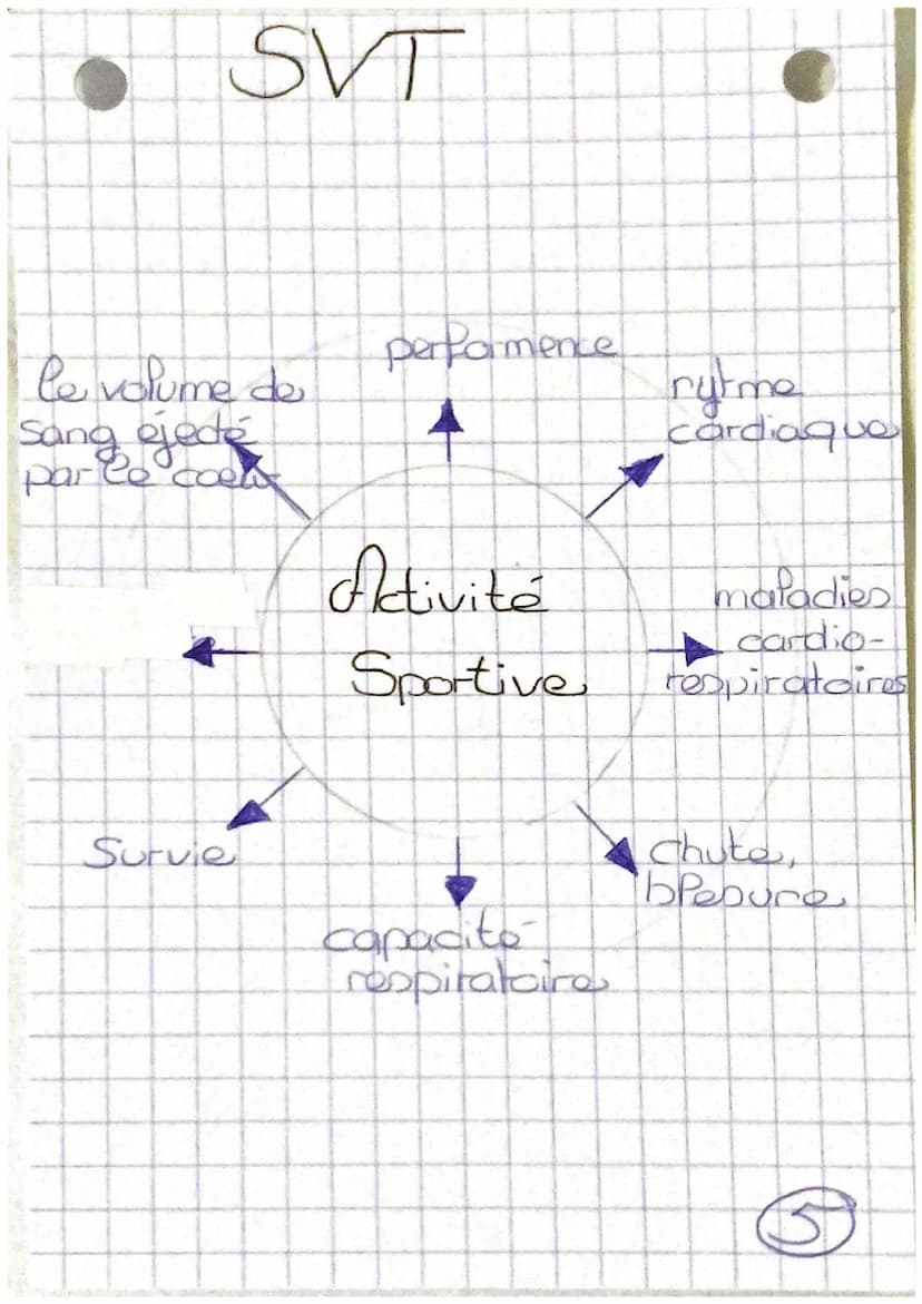 Tystèmes
-cardio-respiratoire
nerveux et
santé REPOS
d'oxygène
nutriment
Chapitre 1:
mundes
·capillaire
Sanguin
EFFORT
dioxygena
nutriment
C