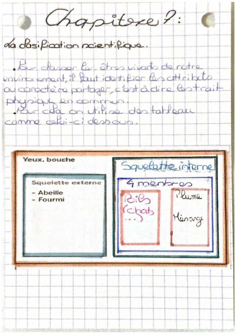 Tystèmes
-cardio-respiratoire
nerveux et
santé REPOS
d'oxygène
nutriment
Chapitre 1:
mundes
·capillaire
Sanguin
EFFORT
dioxygena
nutriment
C