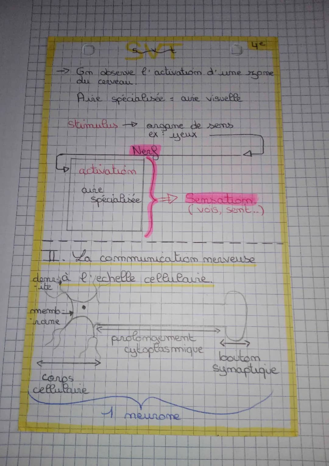 t
Systheme merveux et compartement
responsable.
crayom
stimulus
orgame
(des sens
muscle
essecteur
message me
trams
-rveux
- mit
mers sensiti