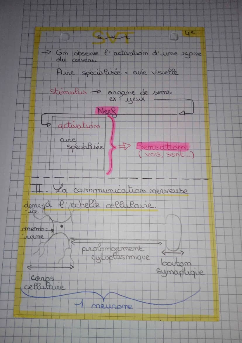 t
Systheme merveux et compartement
responsable.
crayom
stimulus
orgame
(des sens
muscle
essecteur
message me
trams
-rveux
- mit
mers sensiti