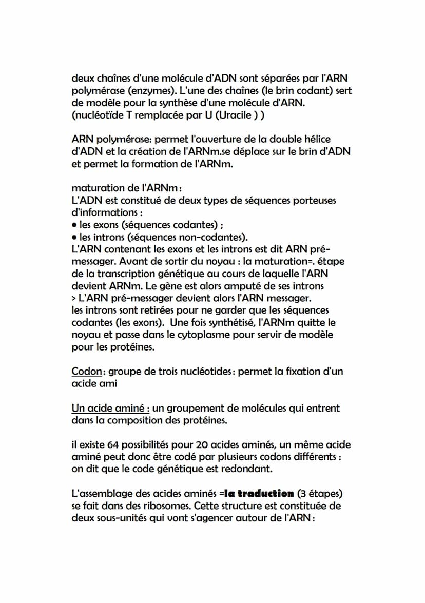 Chapitre 4: l'expression du patrimoine génétique
Le phénotype: ensemble des caractères d'un individu,
observables à plusieurs échelles : il 