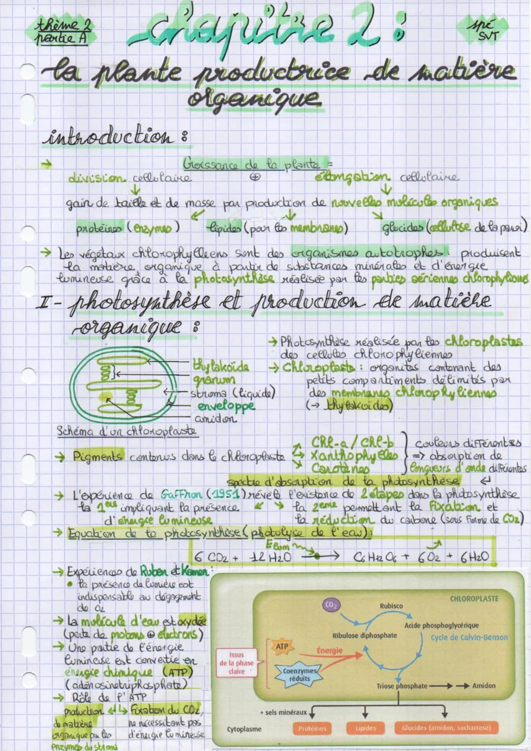 chapitre 2:
la plante productrice de matière
organique
thème 2
partie A
introduction :
Groissance de la plante =
division celle lave
Angatio