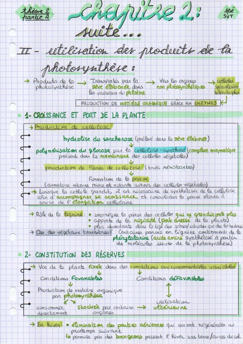 chapitre 2:
la plante productrice de matière
organique
thème 2
partie A
introduction :
Groissance de la plante =
division celle lave
Angatio