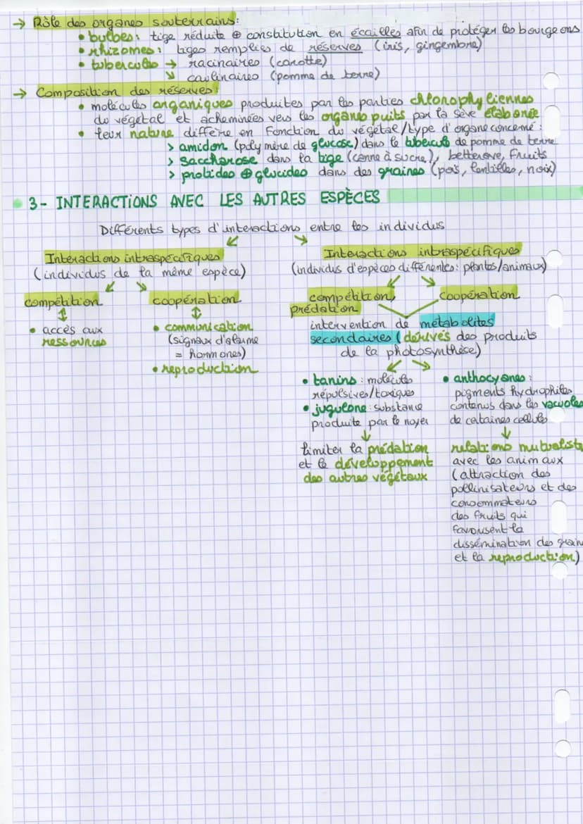 chapitre 2:
la plante productrice de matière
organique
thème 2
partie A
introduction :
Groissance de la plante =
division celle lave
Angatio