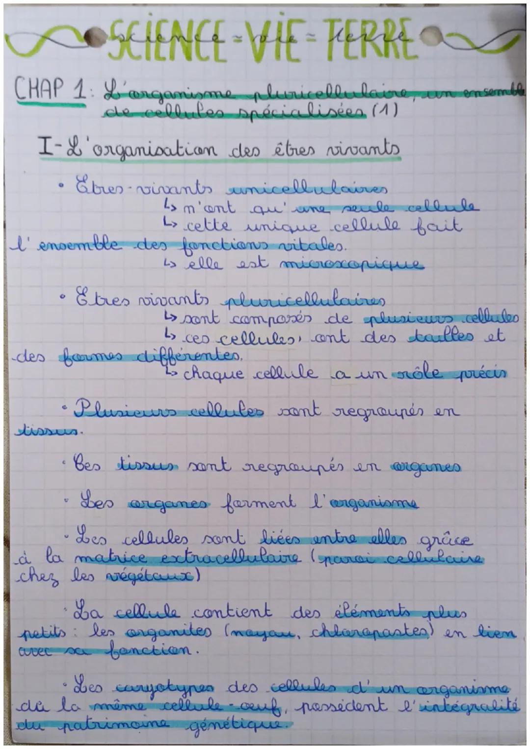 # SCIENCE-VIE-TERRE
CHAP 1: L'organisme pluricellulaire, un ensemble
de cellules spécialisées (1)

I-L'organisation des êtres vivants

*   E