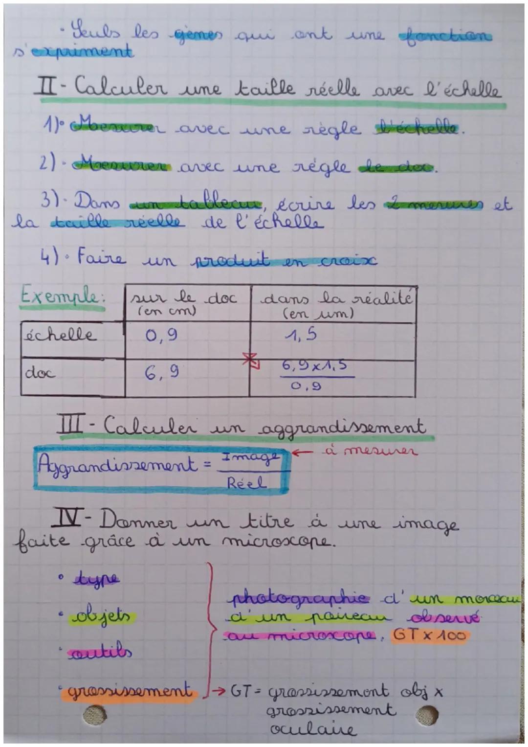 # SCIENCE-VIE-TERRE
CHAP 1: L'organisme pluricellulaire, un ensemble
de cellules spécialisées (1)

I-L'organisation des êtres vivants

*   E