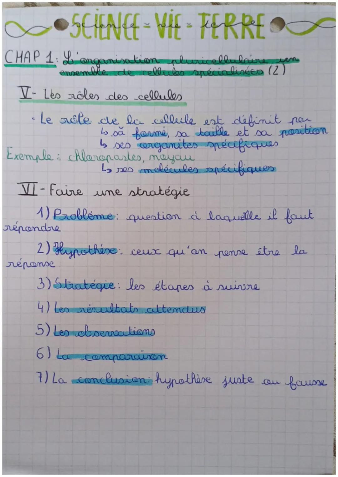 # SCIENCE-VIE-TERRE
CHAP 1: L'organisme pluricellulaire, un ensemble
de cellules spécialisées (1)

I-L'organisation des êtres vivants

*   E