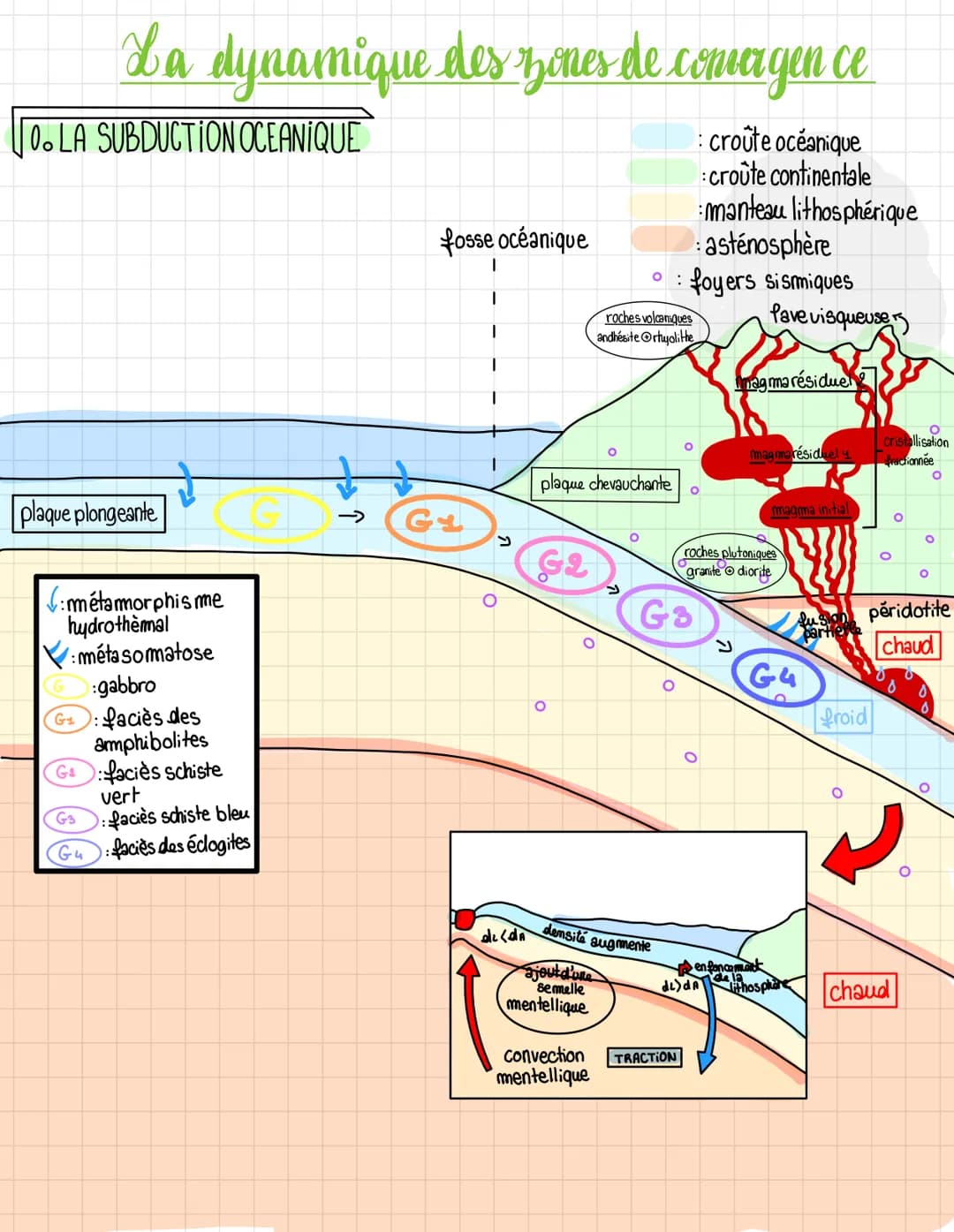 La dynamique des zones de comargen ce
: croûte océanique
:croûte continentale
manteau lithosphérique
asténosphère
0. LA SUBDUCTION OCEANIQUE
