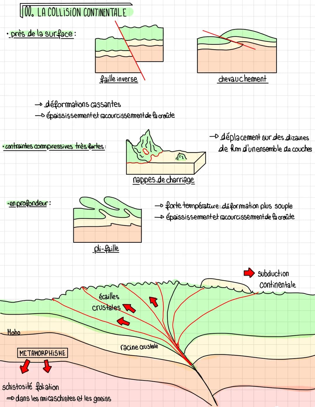 La dynamique des zones de comargen ce
: croûte océanique
:croûte continentale
manteau lithosphérique
asténosphère
0. LA SUBDUCTION OCEANIQUE