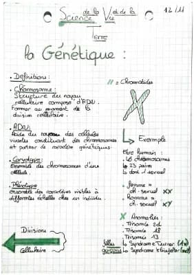 Know la génétique  thumbnail