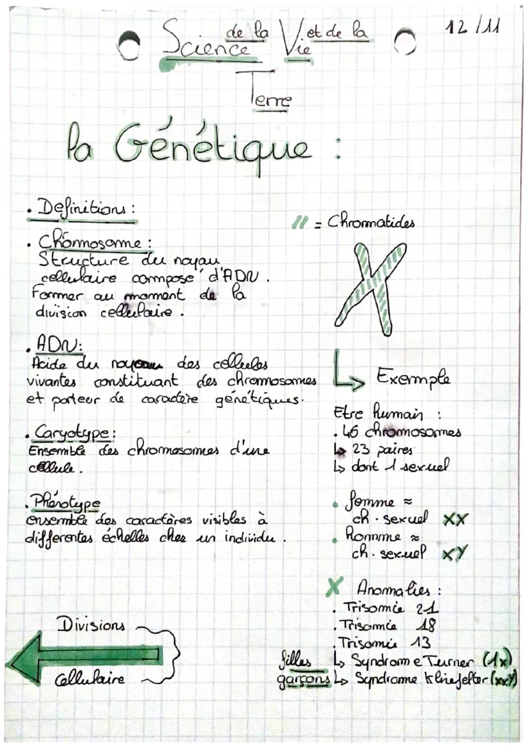 • Definitions:
Ра
la Génétique :
.
Chormosame:
Structure du noyau
cellulaire
Former au moment de la
division cellulaire.
compose
Scien de la