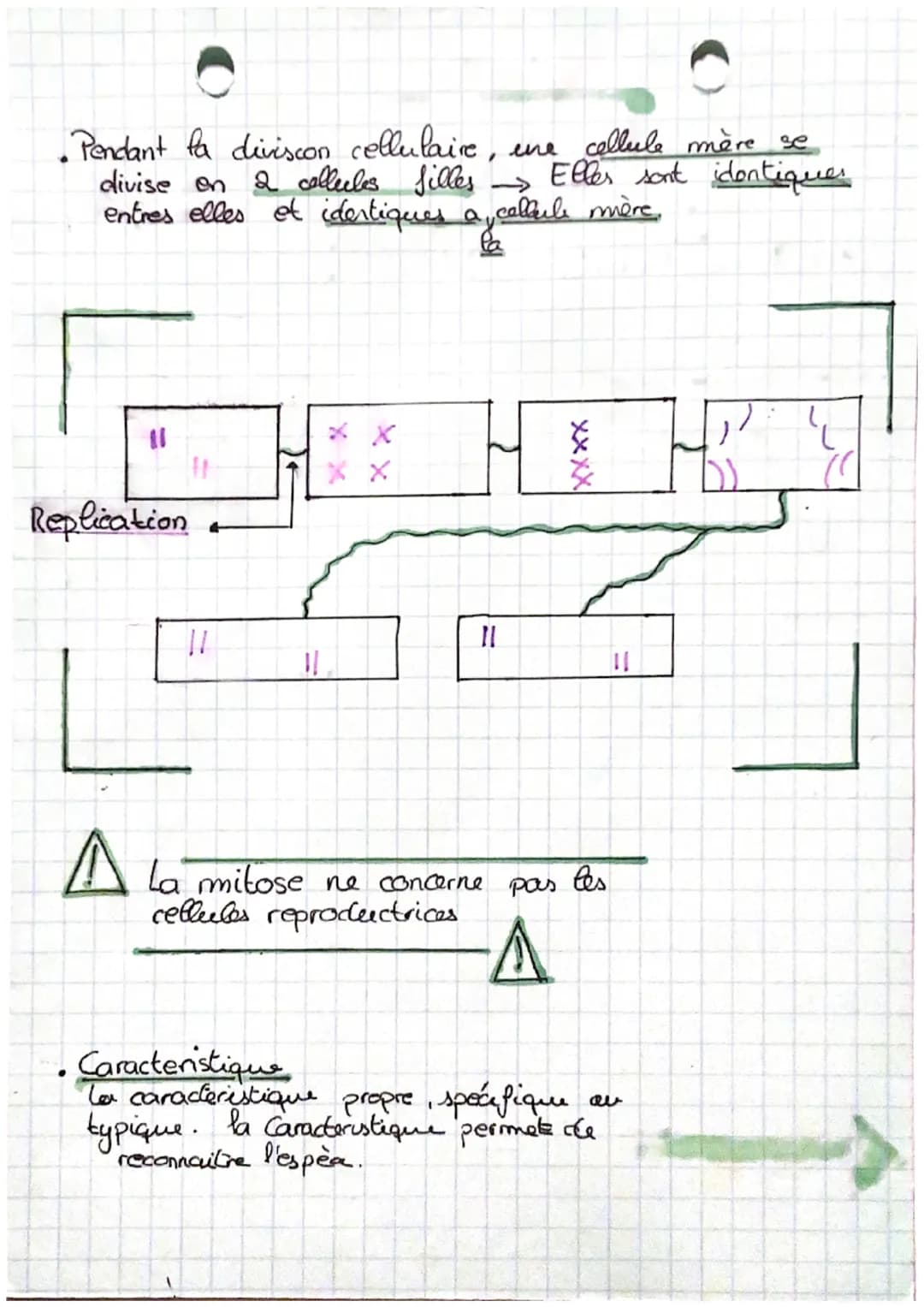 • Definitions:
Ра
la Génétique :
.
Chormosame:
Structure du noyau
cellulaire
Former au moment de la
division cellulaire.
compose
Scien de la