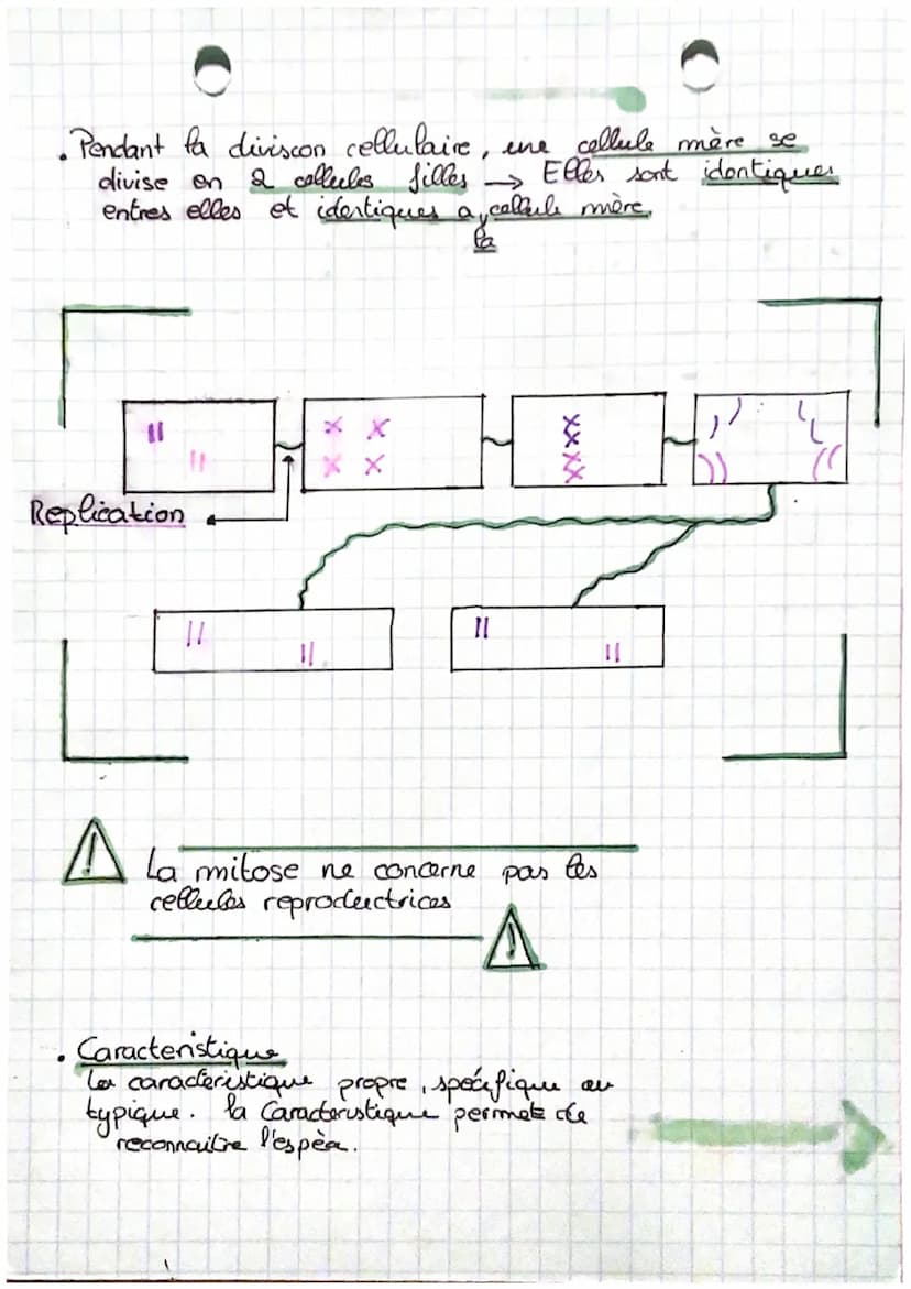 • Definitions:
Ра
la Génétique :
.
Chormosame:
Structure du noyau
cellulaire
Former au moment de la
division cellulaire.
compose
Scien de la