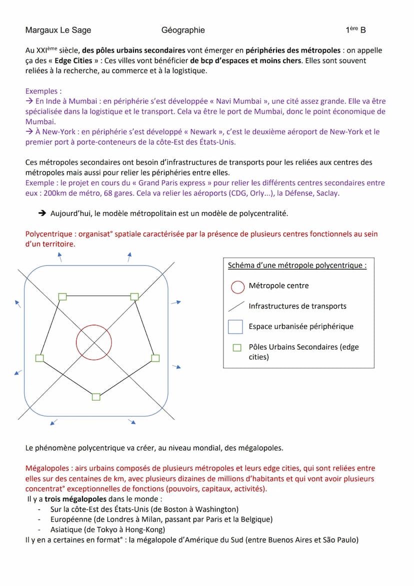 
<h2 id="introduction">Introduction</h2>
<p>La métropolisation est un processus mondial différencié qui affecte les métropoles à l'échelle m