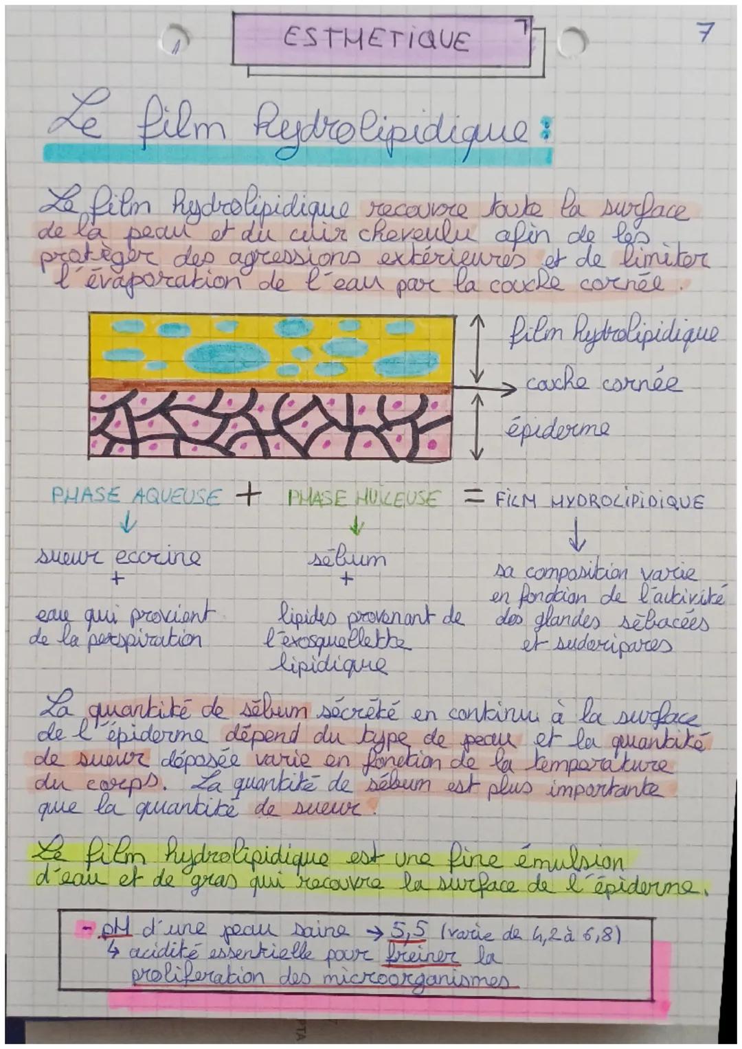 # ESTHETIQUE

7

Le film Rydrolipidique

Le film hydrolipidique recouvre toute la surface
de la peau et du cuir cheveulu afin de los nitor
l