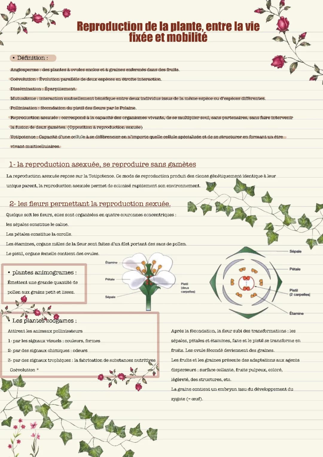 Exemples Amusants de Coévolution : Plantes et Insectes