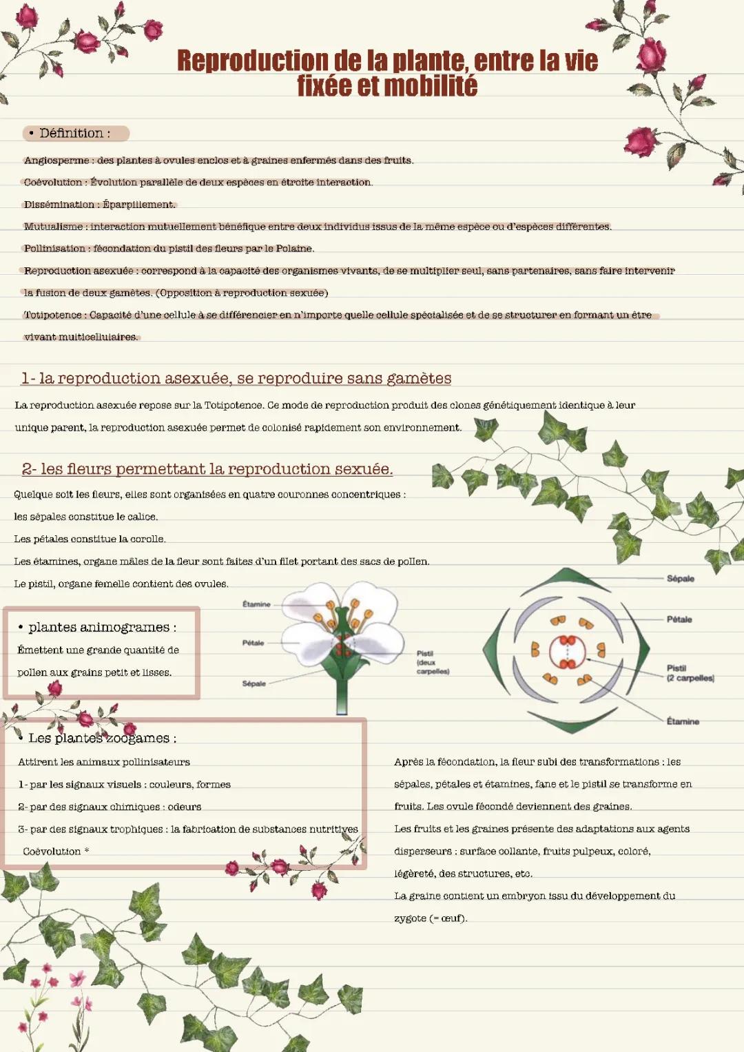 Exemples Amusants de Coévolution : Plantes et Insectes