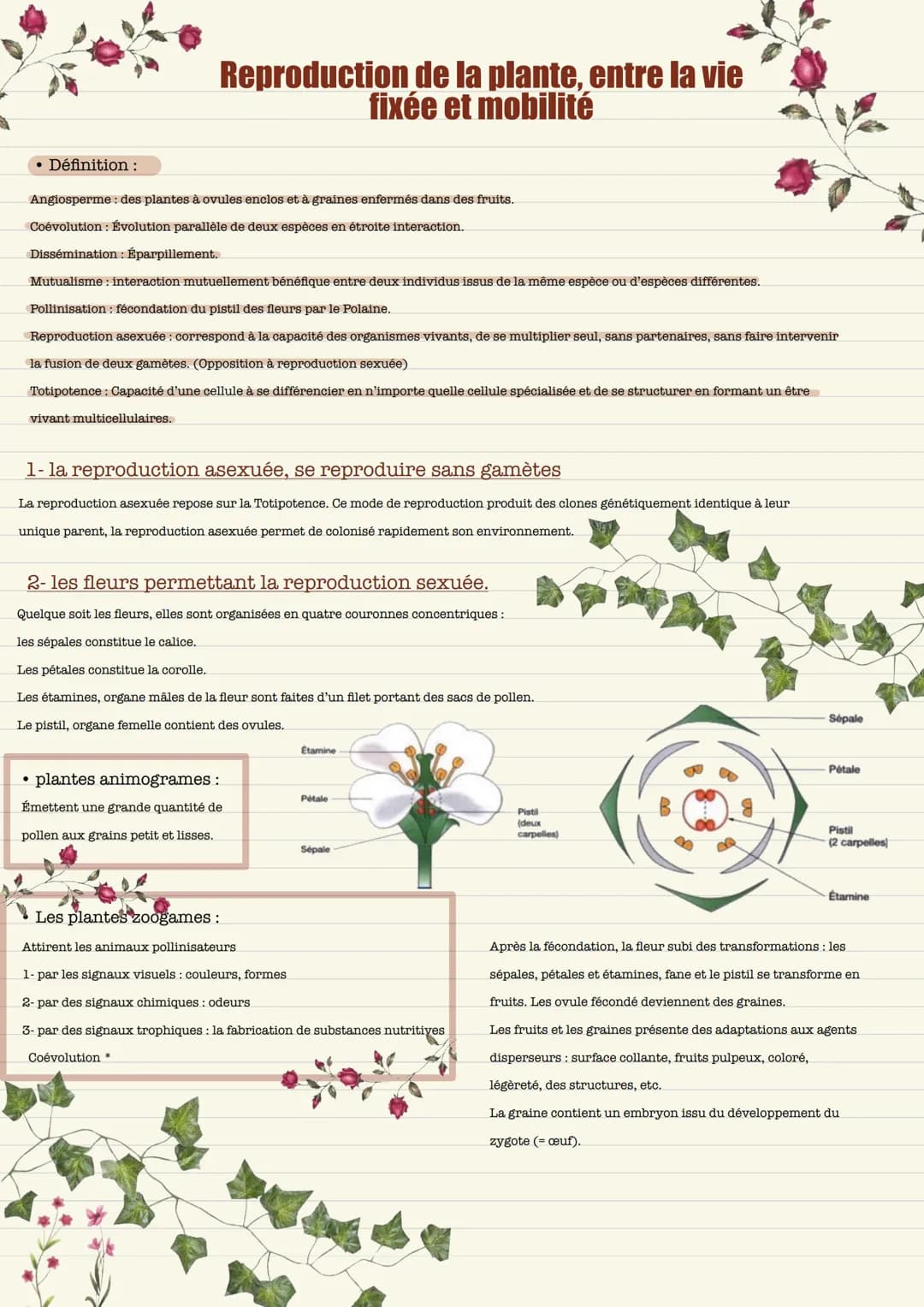 Définition :
Angiosperme : des plantes à ovules enclos et à graines enfermés dans des fruits.
Coévolution : Évolution parallèle de deux espè