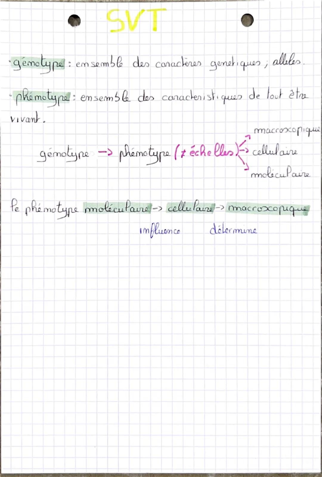 ● SVT
-
•P'expression du.
patrimoine gemetique
La Transcription:
DININ
个
ADN
uracile
étape 113
ARN polymerase
brim mom-Transcrit
0
adémime
t