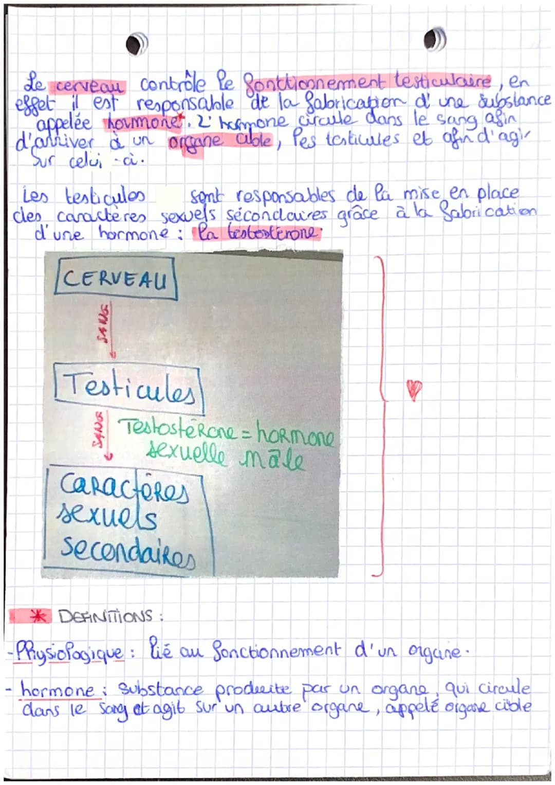 SVT: THB
REPRODUCTION ET COMPORTEMENT
SEXUEL RESPONSABLE
2
changement chez le Garçon
.. la voix qui mue (pomme d'Adan)
- développement de la