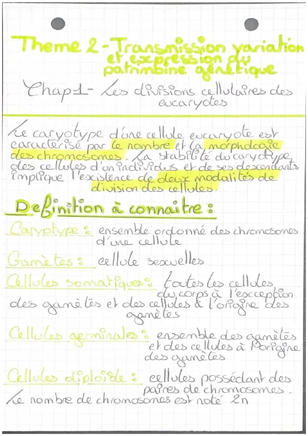 Les divisions cellulaires des eucaryotes