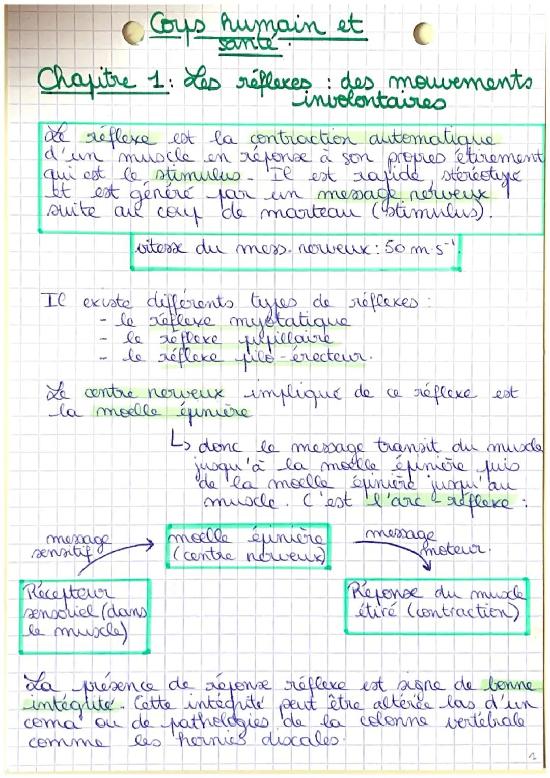 # Coys humain et
sante
C
# Chapitre 1: Les réflexes : des mouvements
involontaires

Le réflexe est la contraction automatique
d'un muscle en