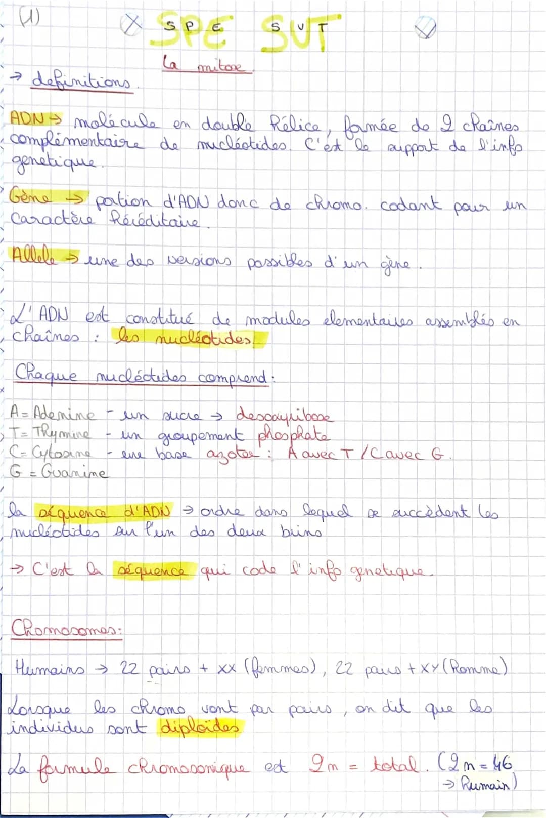 Comprendre la transmission génétique et les divisions cellulaires
