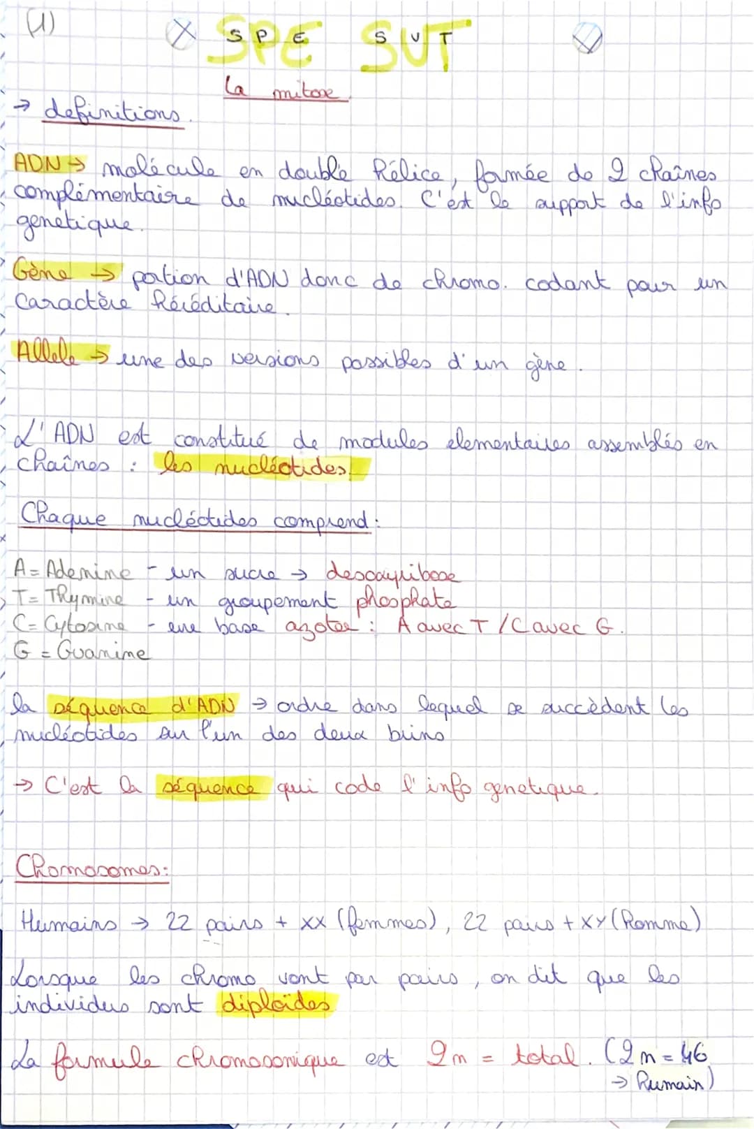 (1)
X SP
sec
E
la mitore
S UT
→ definitions
→
ADN molécule en double Rélice, formée de I chaînes
- complémentaire de mucléctides. C'est le s