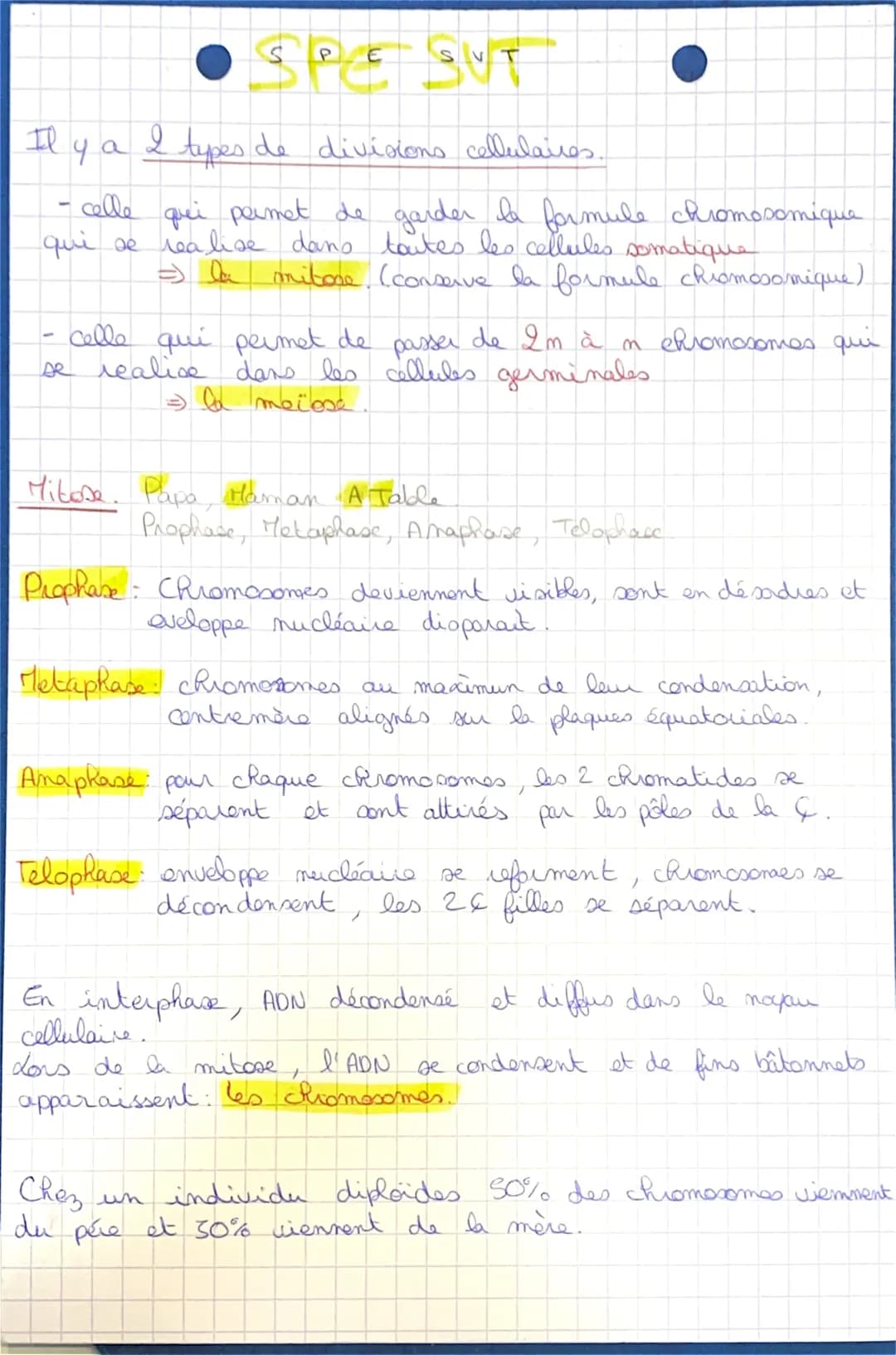 (1)
X SP
sec
E
la mitore
S UT
→ definitions
→
ADN molécule en double Rélice, formée de I chaînes
- complémentaire de mucléctides. C'est le s