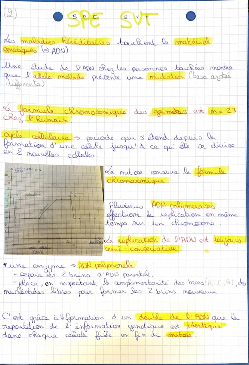(1)
X SP
sec
E
la mitore
S UT
→ definitions
→
ADN molécule en double Rélice, formée de I chaînes
- complémentaire de mucléctides. C'est le s