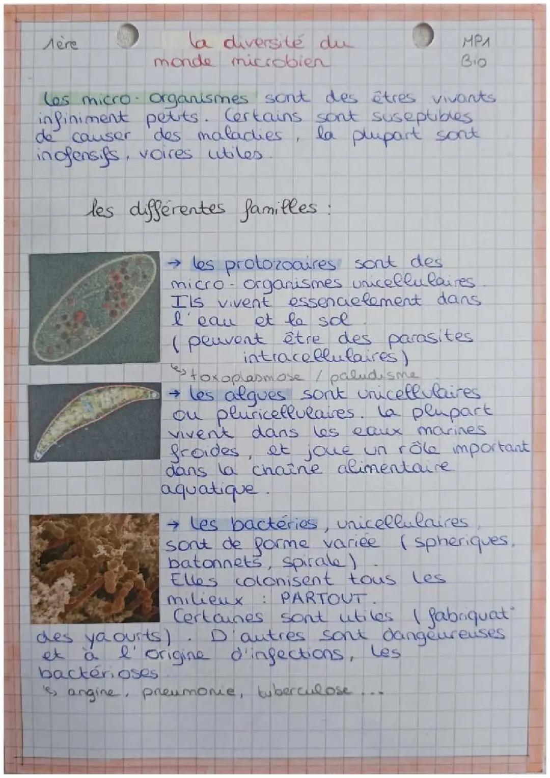 Diversité du monde microbien